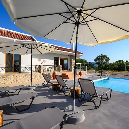 El Paradiso * Pastida